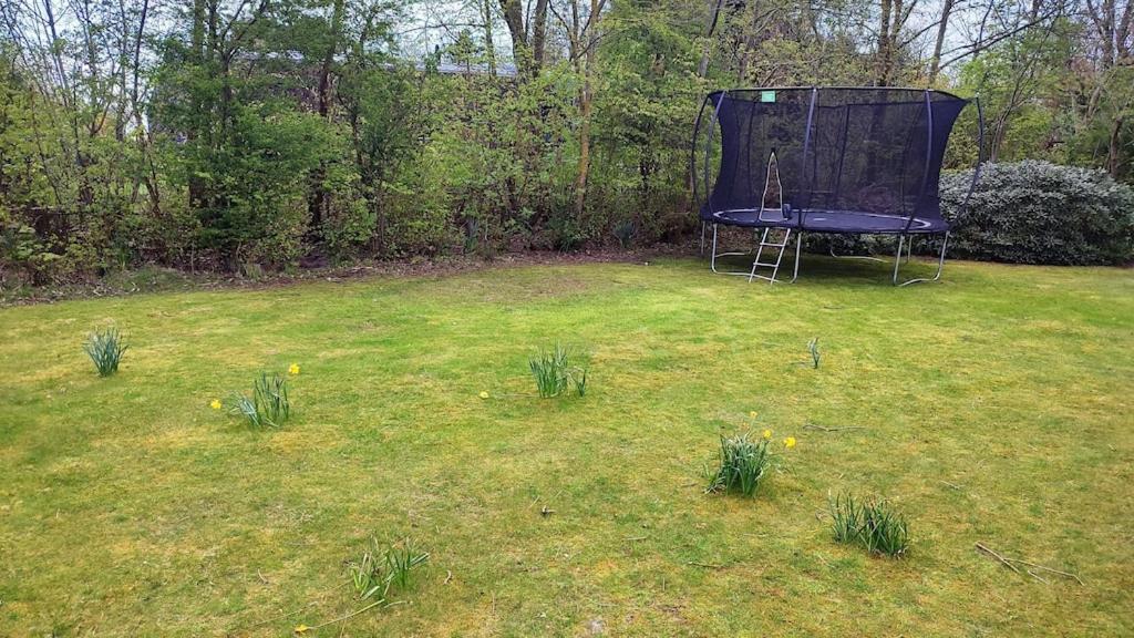 Vakantiehuis Hollum Ameland Dichtbij Strand En Met Ruime Tuin - Ameland39 Nl Exteriör bild